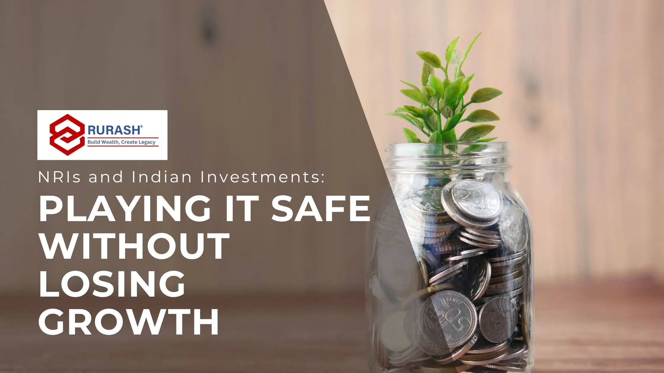 nris and indian investment